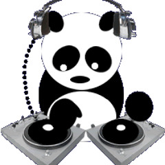 Panda207