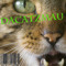 DaCatzMau