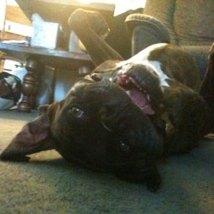 Macky Gee - Get Bucked [Dub Peddla and Messinian RMX]