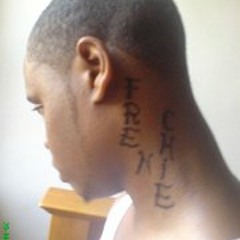 Frenchie-jr Ip Montana