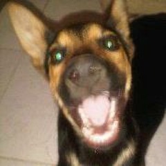 Sleeq Odory