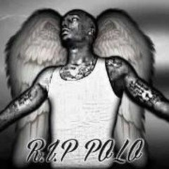 Virgo Loyal King