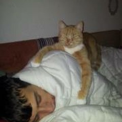 Petrit Patrick Berisha