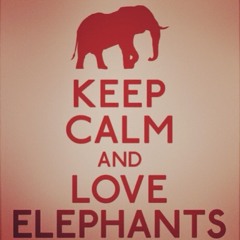 Excelente Selección