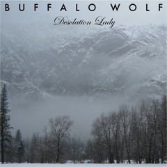 Buffalo Wolf