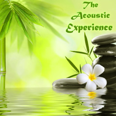 Acoustic Experience UK