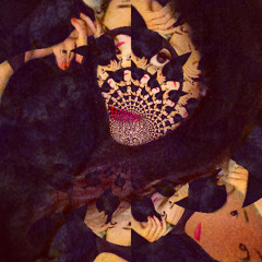 patrɪcıαıɔɪɹʇɐԀ