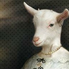 Wilmas Barnyard Fiasco