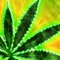 SSssuperSkunk