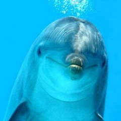Delfhinblue