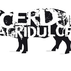 Cerdo Agridulce