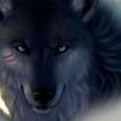 Darius Dexter Agenbag