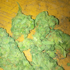 Greenyboi96
