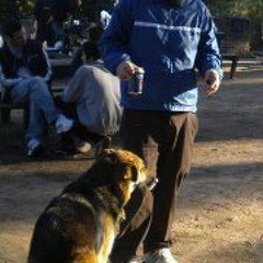 Francisco Molteni Perez