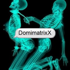 Domimatrixx 2