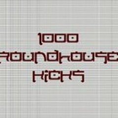 ThousandRoundhouse Kicks