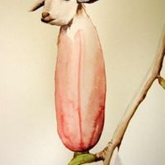 Mastercane (La Verdad)