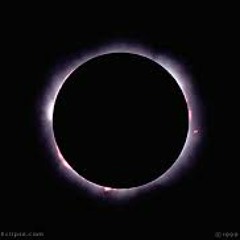 WorldWide Management