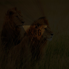 KevinIso