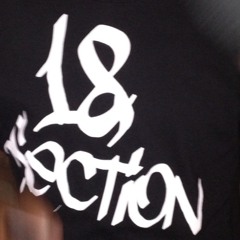 18 Secti0n