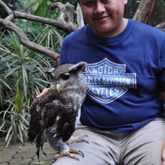 Razzaqzharfan Hakeemuddin