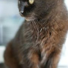 Agnieszka Rudnikowicz