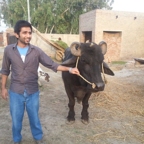 M. Muneeb Mushtaq’s avatar