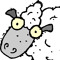 Followsheep