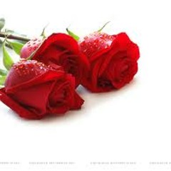 flower000