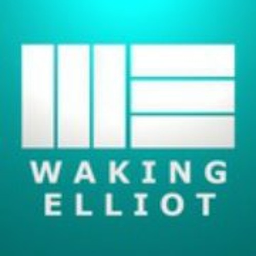 WakingElliot’s avatar
