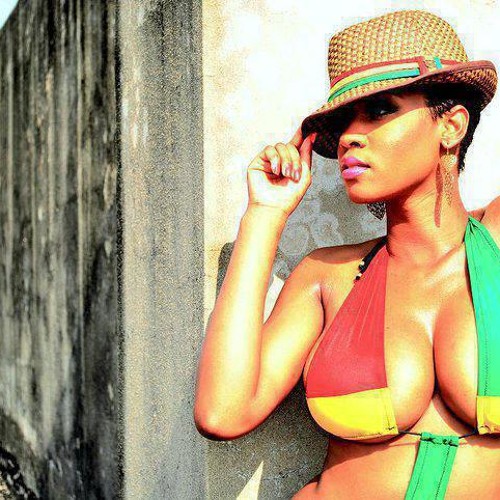 DJ SIMBA DZISS-ENTS 3 — artist photo