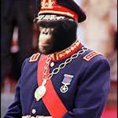 President Chimp Toe