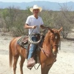 Rey Aguilar 3