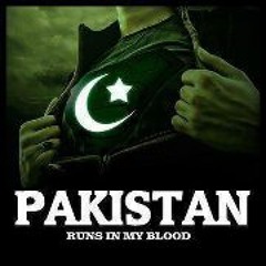 Feel Pakistan