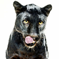 Christopher Michael Shaw