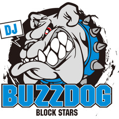 DJ BUZZDOG