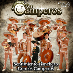 MARIACHI LOS CAMPEROS