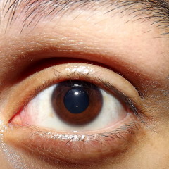 Guilherme Rabelo Brunoro