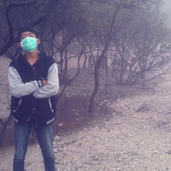 Fradyka Yulio Tauchid