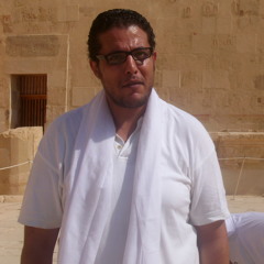 moefahmy