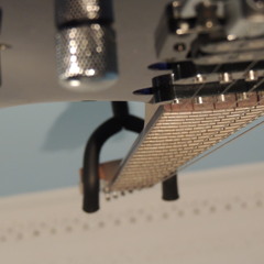 Lachlan MavorWilliams