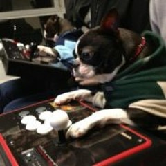 Peter Nozawa Thurwachter