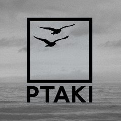 Ptaki - Rejected Julio Bashmore Remix