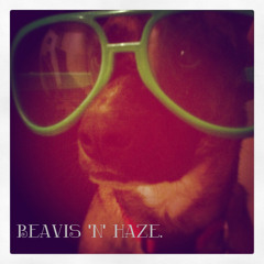 Beavis n Haze