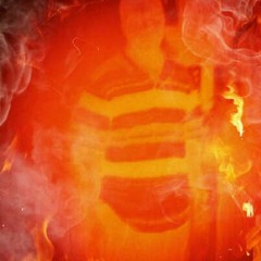 Mr.Kaniggula-Reynolds