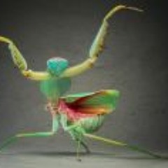 Candice A So'phystafunc