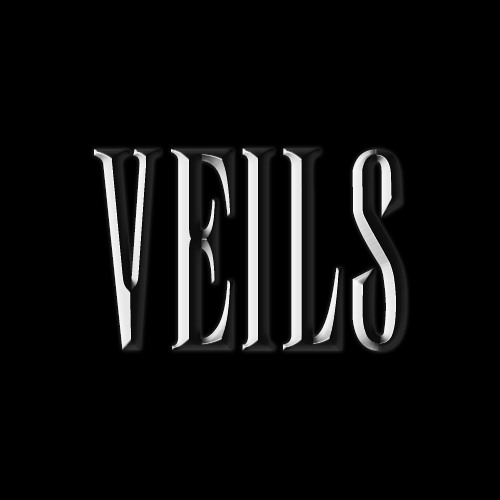SoundCloud profile picture for @veils