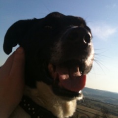 Jakey boio