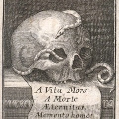 Veloziped_2