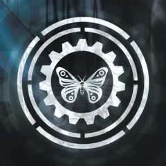 Chinese Silk & Videotape